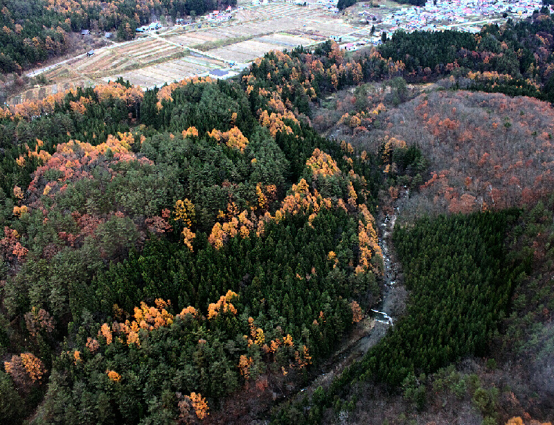p6240367s.jpg