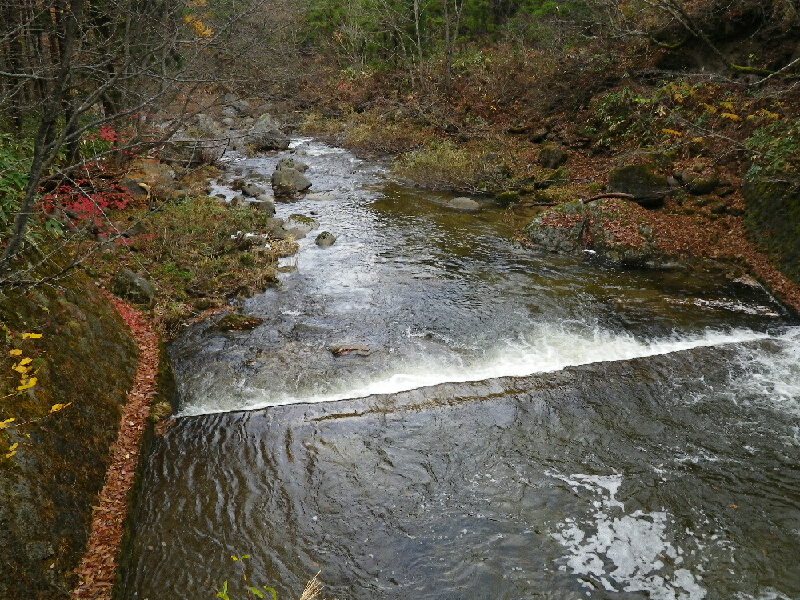 p6240013s.jpg
