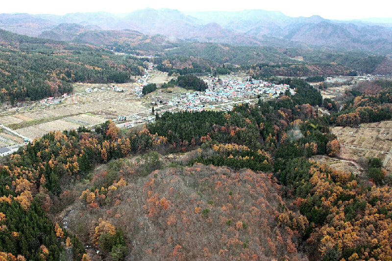 p6090698.jpg